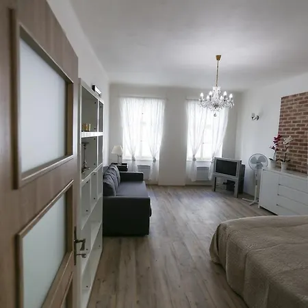 Apartment At Wenceslas Square
